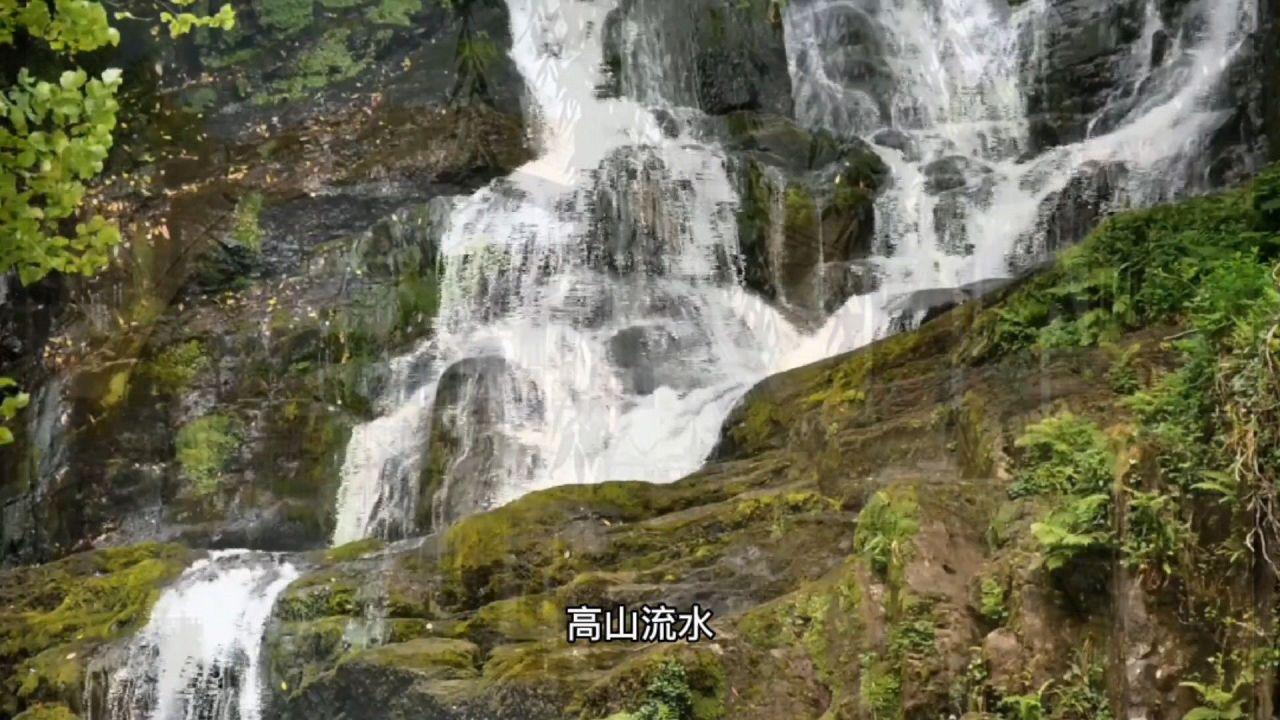 逗小猴开心系列188